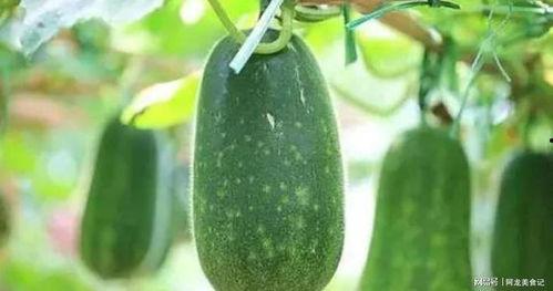 4月吃瓜,盘点娱乐圈的甜蜜与苦涩